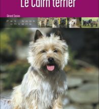 625-Couv. Cairn terrier-new_570-couv shih tzu
