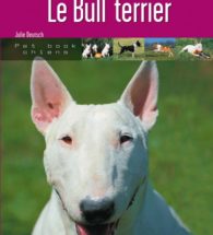 568-05-Couv Bull terrier-OK_570-couv shih tzu