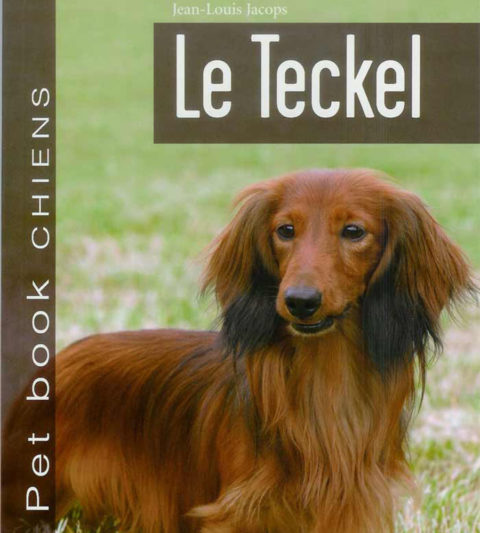 teckel